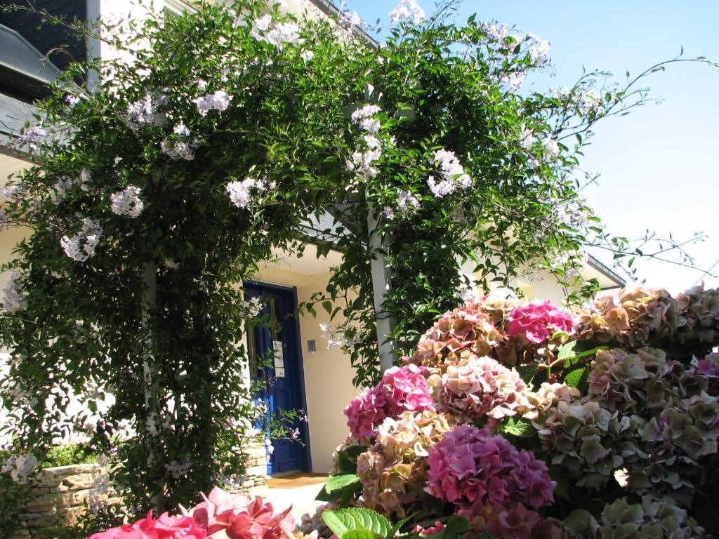 L'Escale Evel Er Ger Bed & Breakfast Locquirec Exterior photo